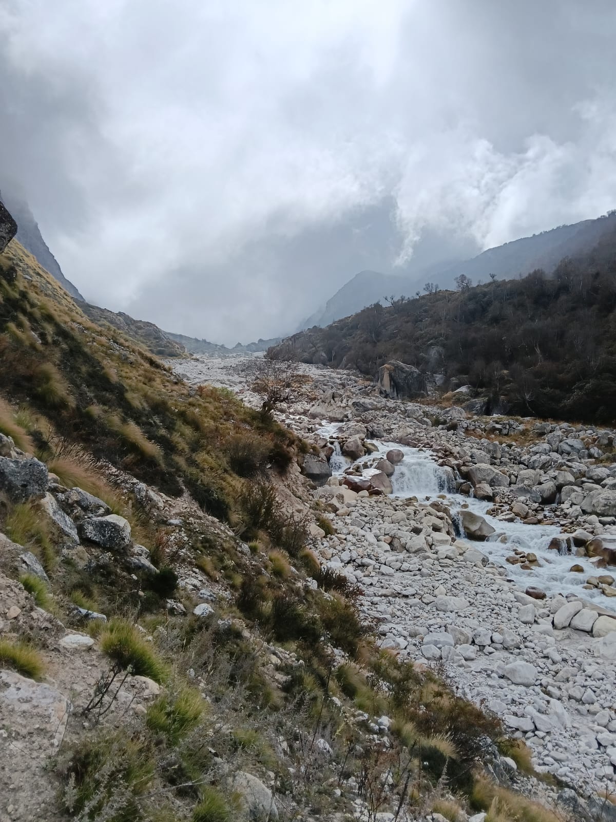 Bagini Glacier Trek Summit Warriors